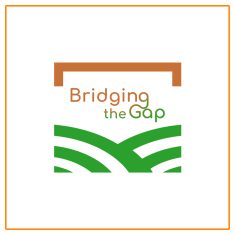 progetto bridging the gap